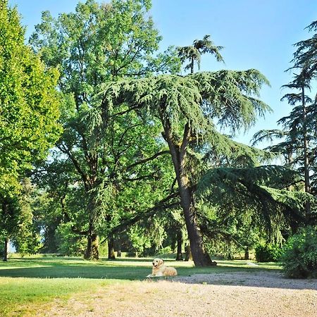 Clos Saint-Blaise Albi Bagian luar foto