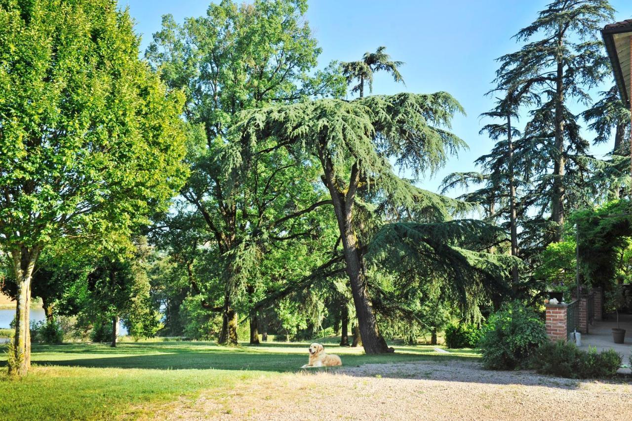 Clos Saint-Blaise Albi Bagian luar foto